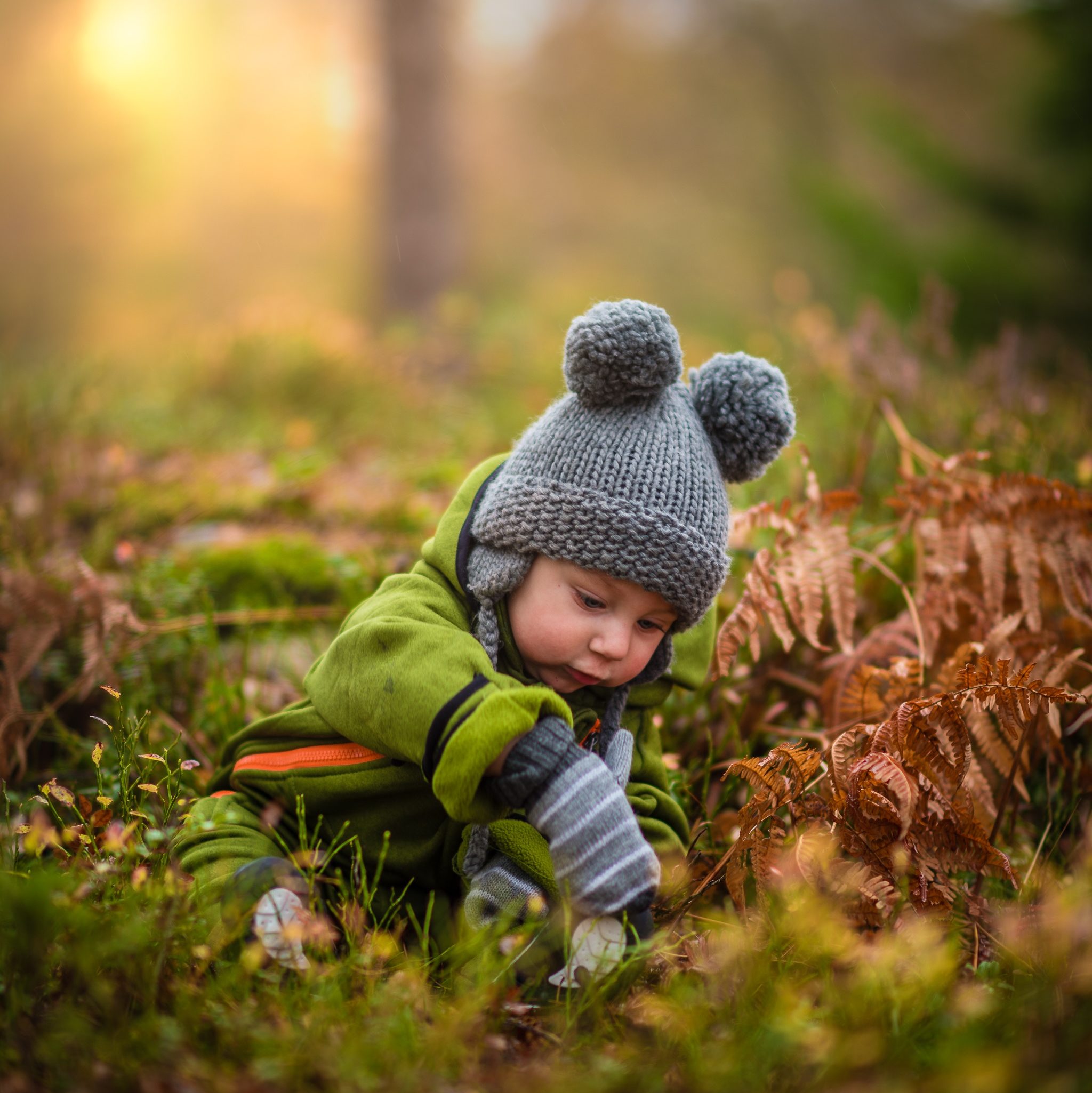 cropped-janko-ferlic-153521-unsplash-4.jpg